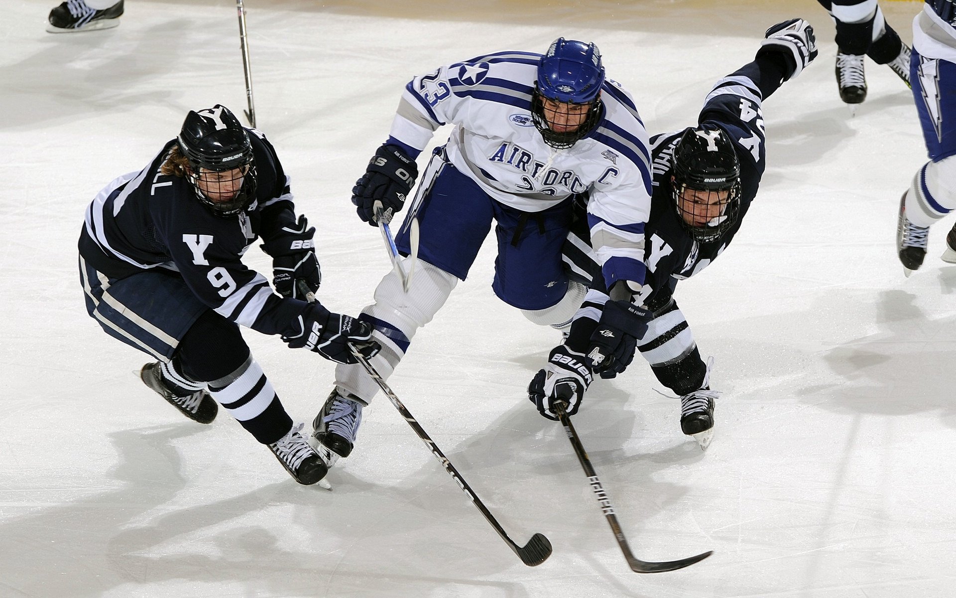 美洲杯明星纷纷亮相：激情、突破、精彩不断！，美洲杯人气